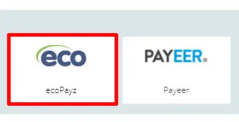 22bet ペイズ出金 選択画面