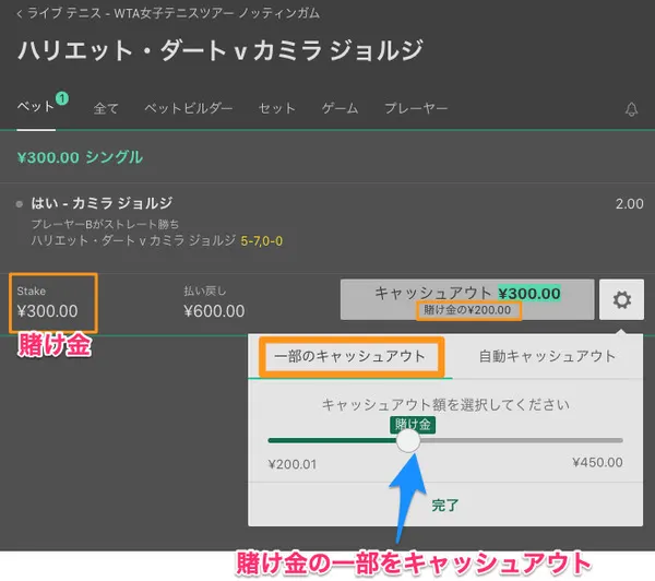 一部キャッシュアウトの画面例