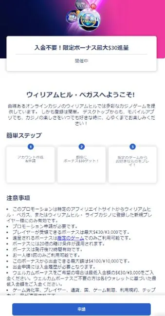 ボーナス反映確認