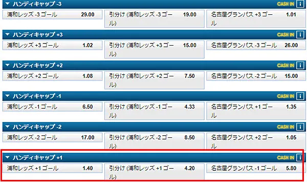 ハンディキャップ(3way)