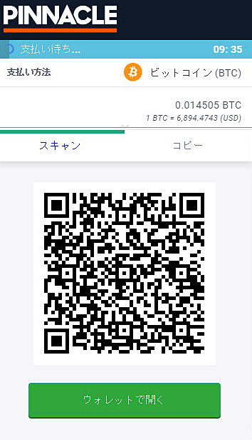 Pinnacle_入金ビットコイン3